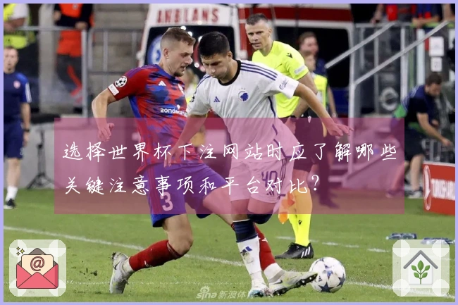 选择世界杯下注网站时应了解哪些关键注意事项和平台对比？