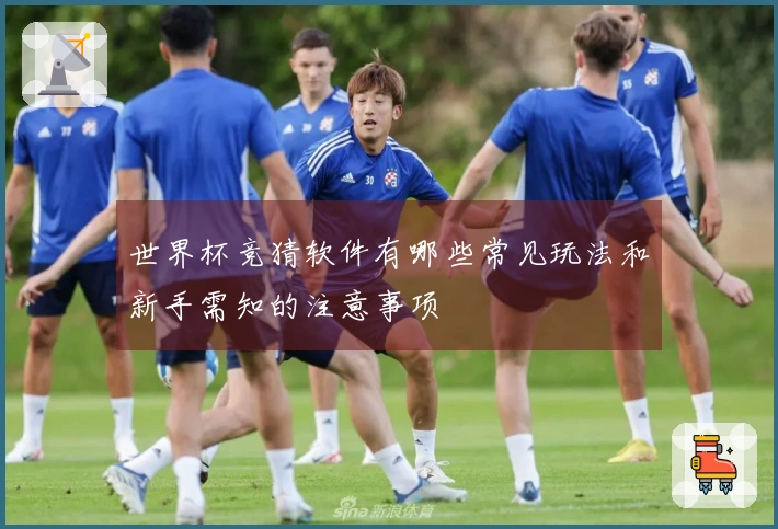世界杯竞猜软件有哪些常见玩法和新手需知的注意事项