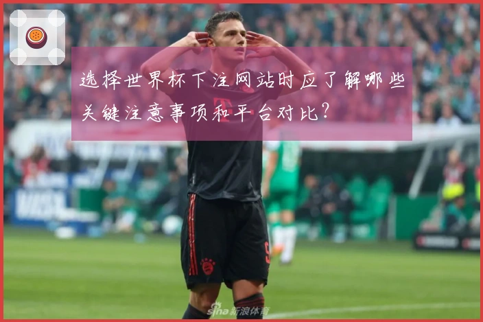 选择世界杯下注网站时应了解哪些关键注意事项和平台对比？