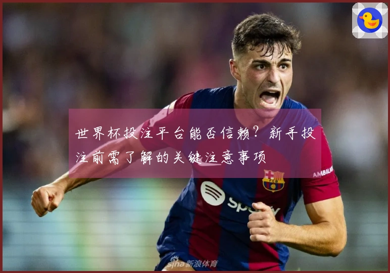 世界杯投注平台能否信赖？新手投注前需了解的关键注意事项