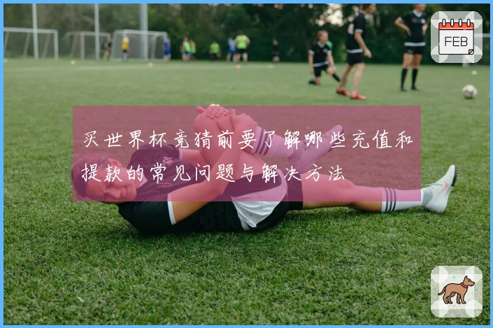 买世界杯竞猜前要了解哪些充值和提款的常见问题与解决方法